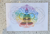 Frequenz-Booster & Energetik-Alltagsguide – Video-Kurs