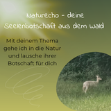 Naturecho - deine Seelenbotschaft aus dem Wald